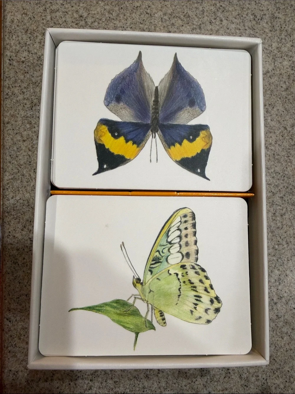 Butterfly Wings Matching Game - Multicolor